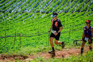 BIB: 2393
                            <button type="button" onclick="openModal(19164214)" class="btn btn-primary btn-sm float-right btn-popup" data-toggle="modal" data-target=".modal-high-quality">
                        <i class="fas fa-shopping-cart"></i> Add to Cart
                    </button>
                                            <button type="button" onclick="isThisMe(19164214, true)" class="btn btn-success btn-sm float-right btn-popup btn-isme hidden" data-toggle="tooltip" data-placement="bottom" title="นี่คือรูปของคุณใช่ไหม คลิกที่นี่เพื่อเอาเข้าอัลบั้ม">
                        <i class="fas fa-plus"></i> Add to album
                    </button>
                    <button type="button" onclick="isThisMe(19164214, false)" class="btn btn-warning btn-sm float-right btn-popup btn-isnotme hidden">
                        <i class="fas fa-ban"></i> Remove from album
                    </button>